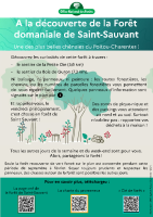 Forêt Domaniale de Saint-Sauvant